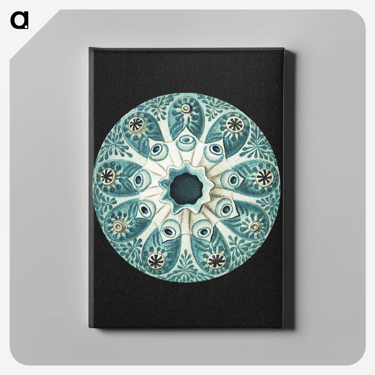 1-12_Ernst-Haeckel_canvas