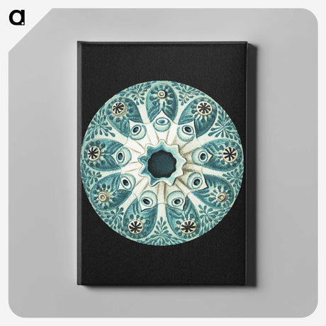 1-12_Ernst-Haeckel_canvas