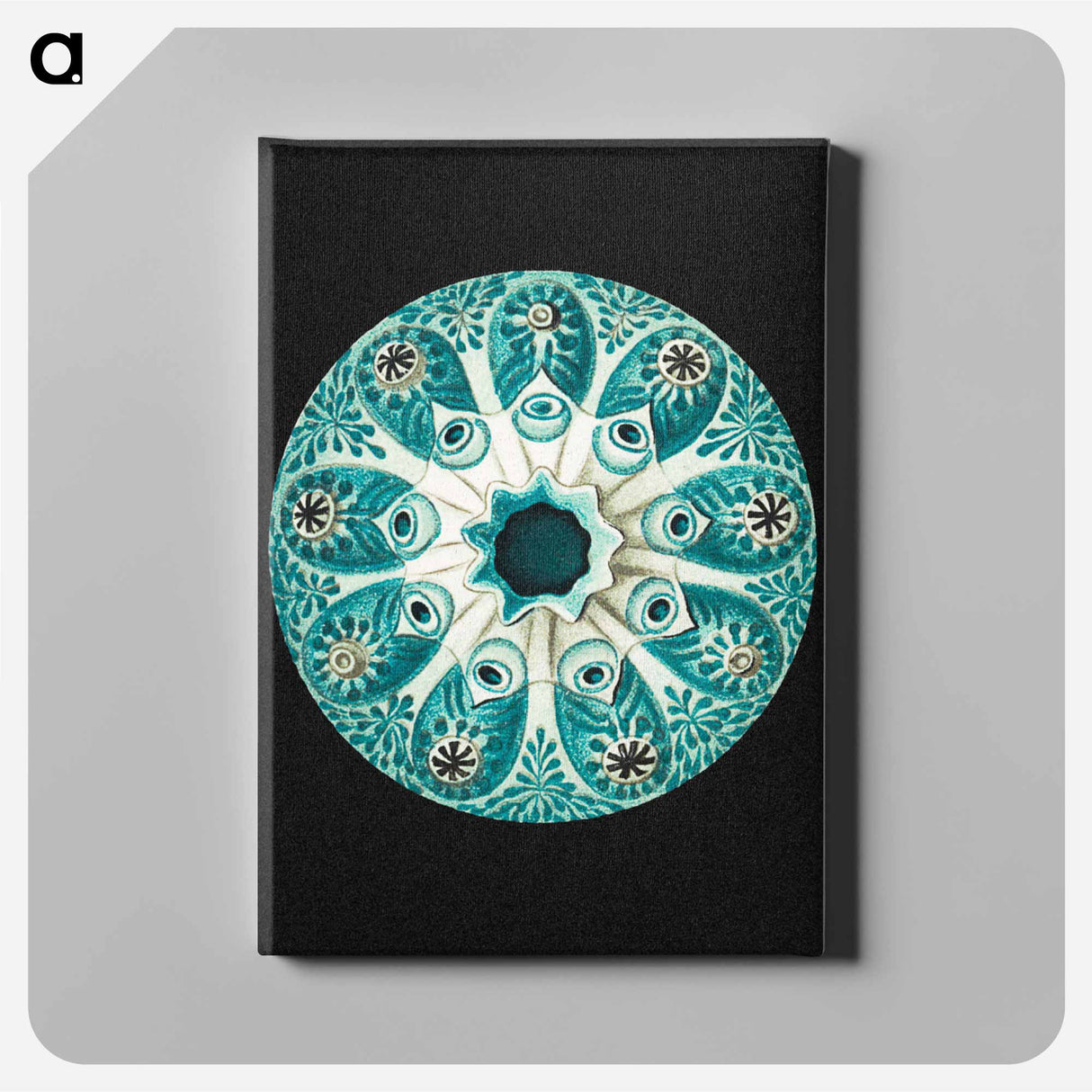 Colorful vintage tunicate marine life illustration - エルンスト ヘッケル Canvas.
