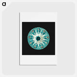アートポストカード-Colorful vintage tunicate marine life illustration - エルンスト ヘッケル Postcard.