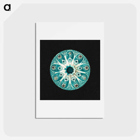 アートポストカード-Colorful vintage tunicate marine life illustration - エルンスト ヘッケル Postcard.