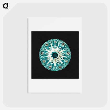 アートポストカード-Colorful vintage tunicate marine life illustration - エルンスト ヘッケル Postcard.