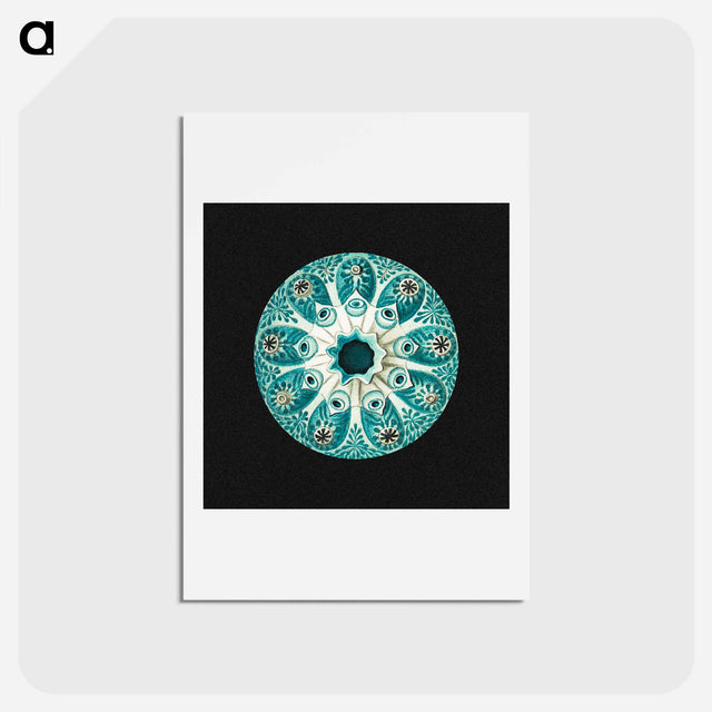 アートポストカード-Colorful vintage tunicate marine life illustration - エルンスト ヘッケル Postcard.