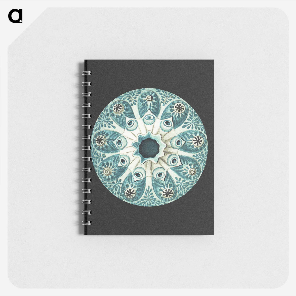 1-12_Ernst-Haeckel_memo