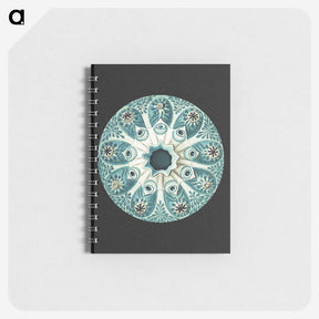 1-12_Ernst-Haeckel_memo