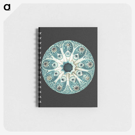 1-12_Ernst-Haeckel_memo