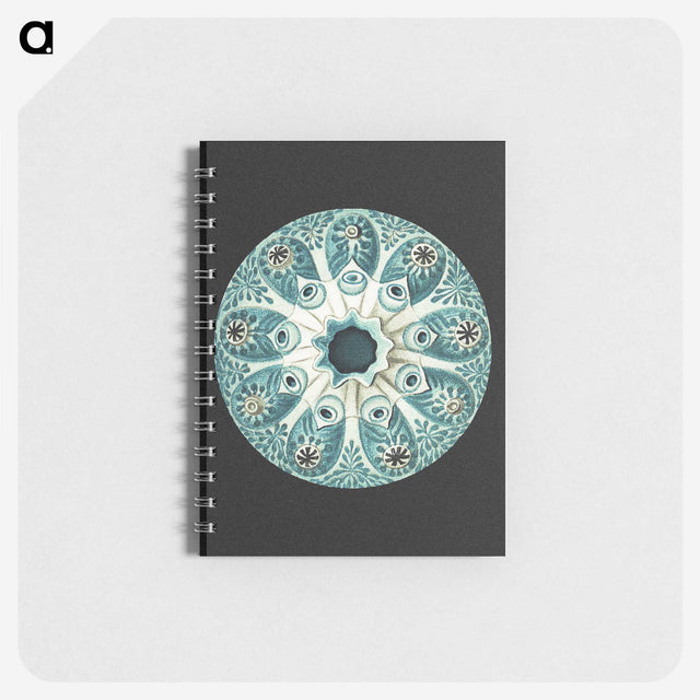 1-12_Ernst-Haeckel_memo