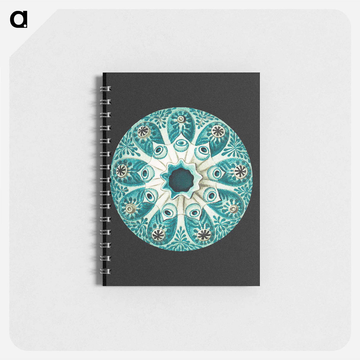 アートメモ帳-Colorful vintage tunicate marine life illustration - エルンスト ヘッケル Memo.