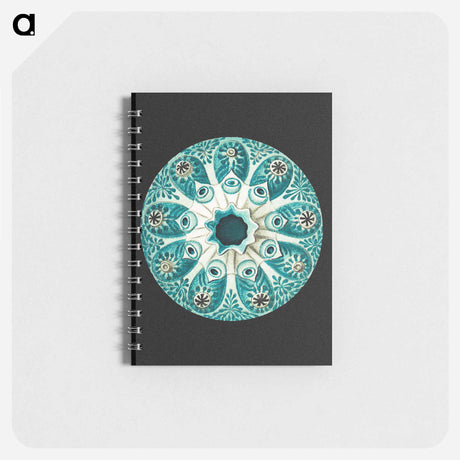 アートメモ帳-Colorful vintage tunicate marine life illustration - エルンスト ヘッケル Memo.