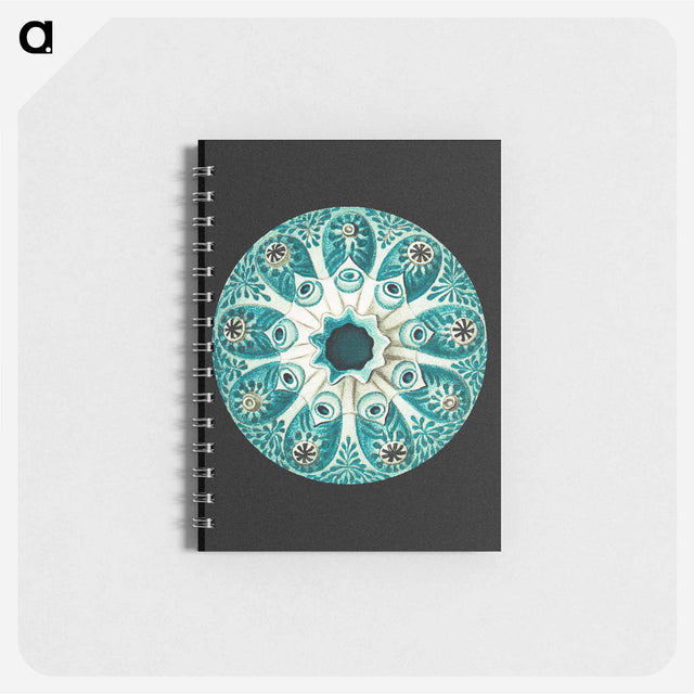 アートメモ帳-Colorful vintage tunicate marine life illustration - エルンスト ヘッケル Memo.