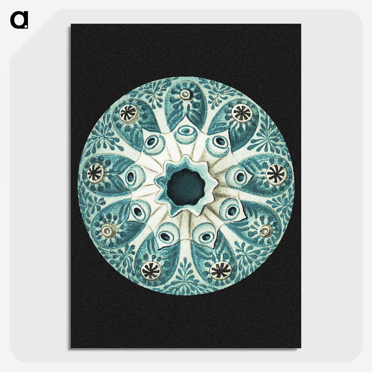 1-12_Ernst-Haeckel_picture-crop