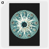 1-12_Ernst-Haeckel_picture-crop