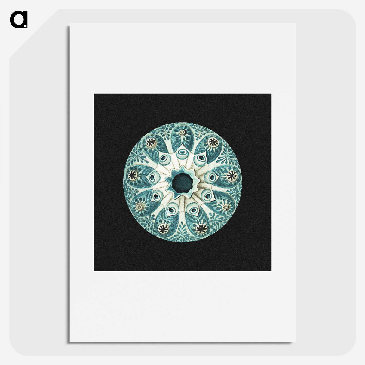 1-12_Ernst-Haeckel_picture