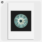 1-12_Ernst-Haeckel_picture