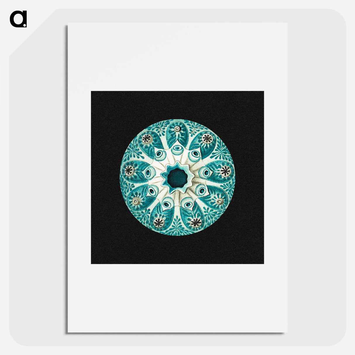 Colorful vintage tunicate marine life illustration - エルンスト ヘッケル Poster.