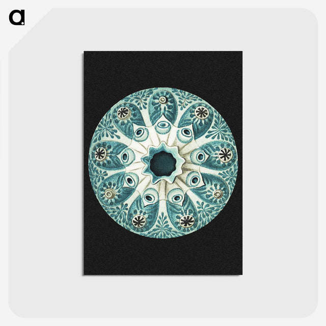 1-12_Ernst-Haeckel_postcard