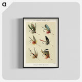 1-12_Favorite-Flies-and-Their-History_blk-crop