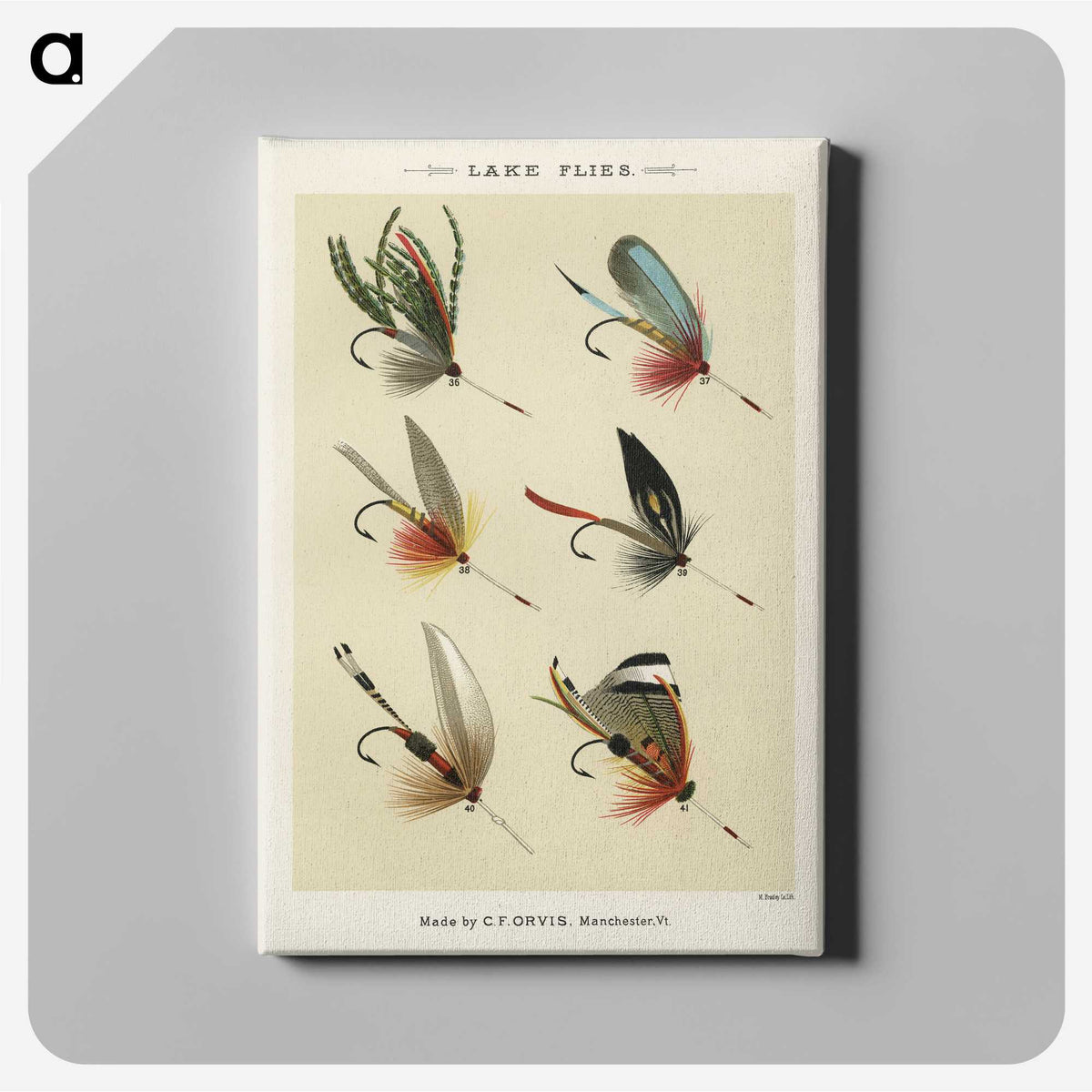 1-12_Favorite-Flies-and-Their-History_canvas