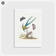 アートポストカード-A Natural History of Uncommon Birds
 - ジョージ エドワーズ Postcard.