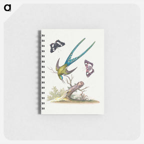 アートメモ帳-A Natural History of Uncommon Birds
 - ジョージ エドワーズ Memo.