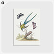 1-12_George-Edwards_postcard