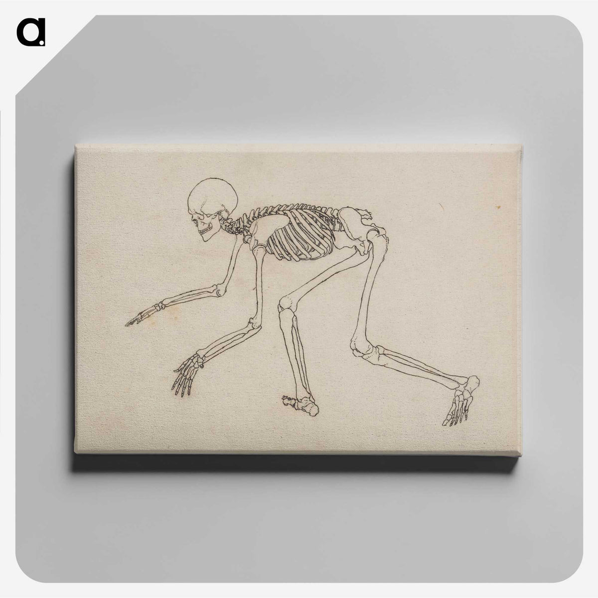 1-12_George-Stubbs_canvas