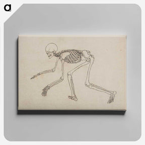 1-12_George-Stubbs_canvas