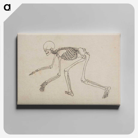 1-12_George-Stubbs_canvas
