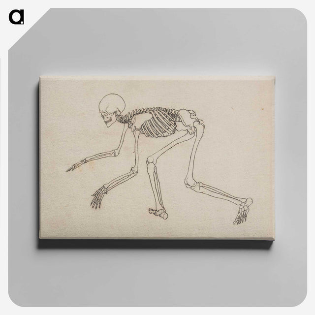 1-12_George-Stubbs_canvas