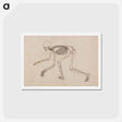 アートポストカード-Human Skeleton, Lateral View
 - ジョージ スタッブス Postcard.