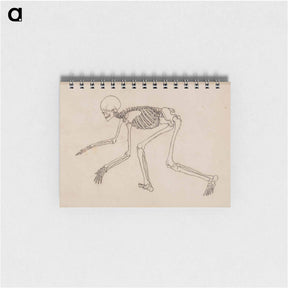 アートメモ帳-Human Skeleton, Lateral View
 - ジョージ スタッブス Memo.