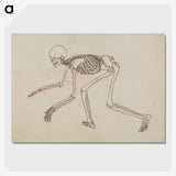 1-12_George-Stubbs_picture-crop