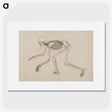 1-12_George-Stubbs_picture