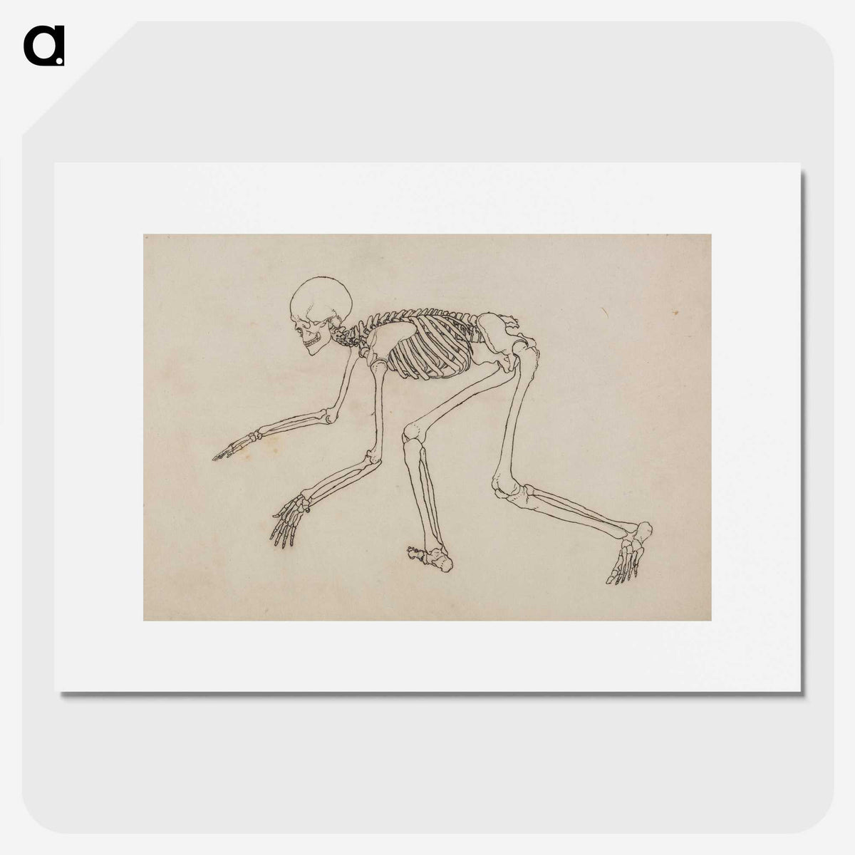 1-12_George-Stubbs_picture