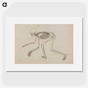 1-12_George-Stubbs_picture