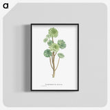 1-12_Histoire-des-Plantes-Grasses_blk-crop