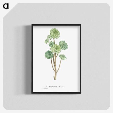 1-12_Histoire-des-Plantes-Grasses_blk-crop