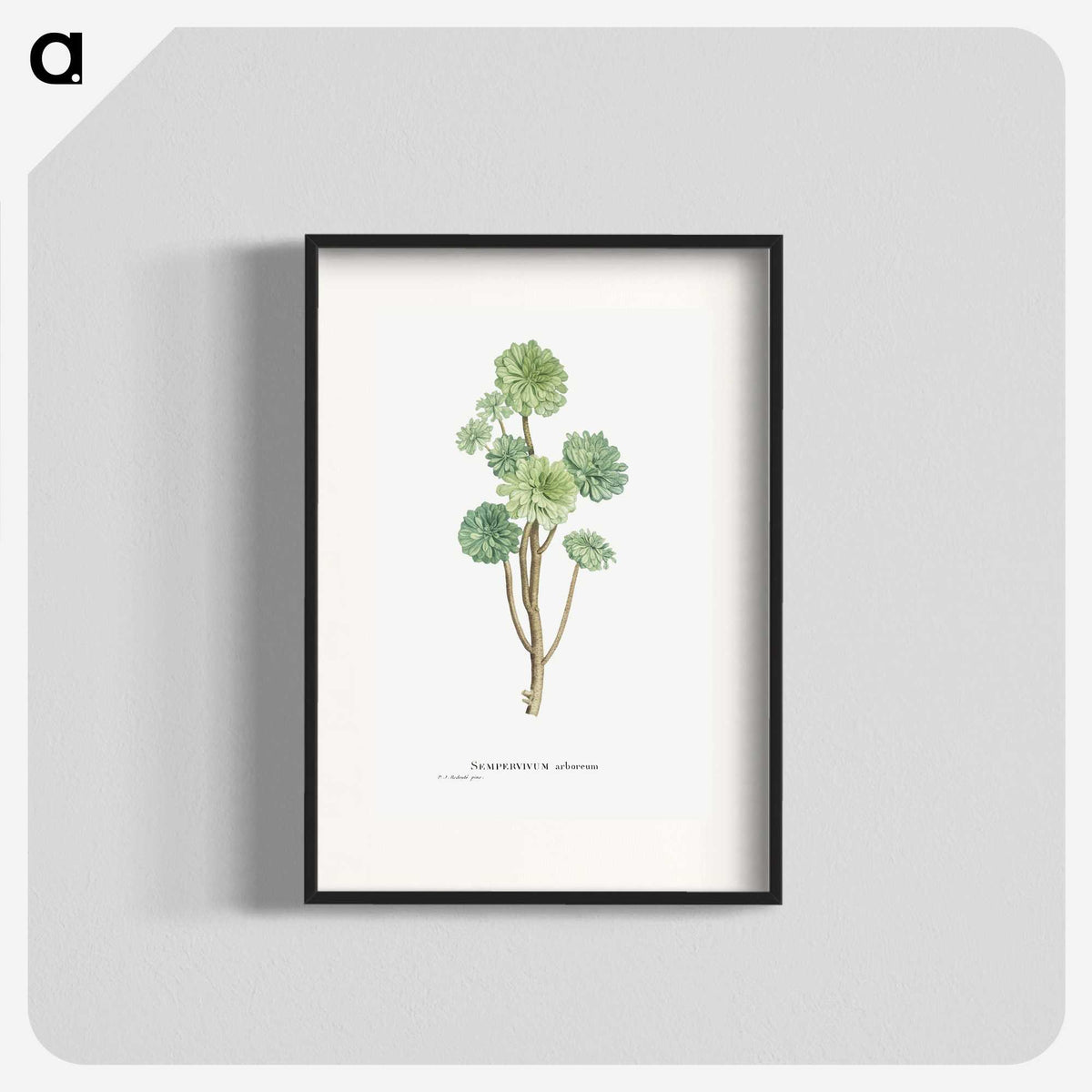 1-12_Histoire-des-Plantes-Grasses_blk