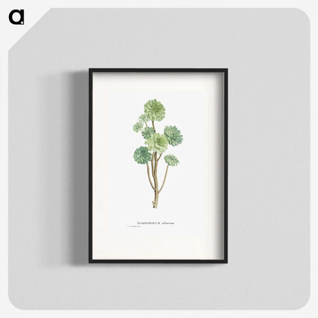 1-12_Histoire-des-Plantes-Grasses_blk