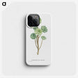 1-12_Histoire-des-Plantes-Grasses_phone