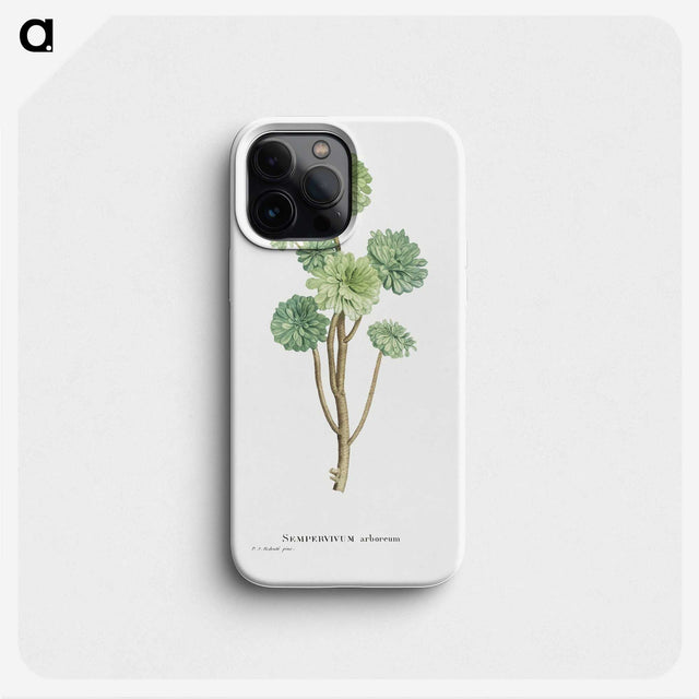 1-12_Histoire-des-Plantes-Grasses_phone