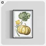 1-12_Hortus-Romanus-Botanical-Plates_blk-crop