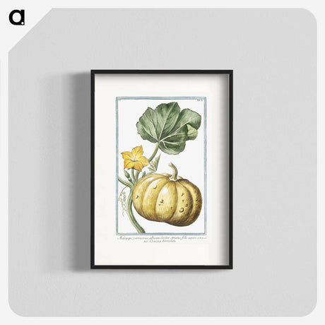 1-12_Hortus-Romanus-Botanical-Plates_blk