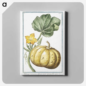 1-12_Hortus-Romanus-Botanical-Plates_canvas