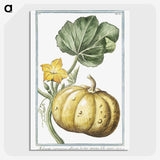1-12_Hortus-Romanus-Botanical-Plates_picture-crop