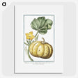 1-12_Hortus-Romanus-Botanical-Plates_picture