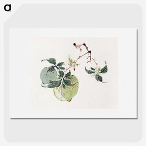 1-12_Hu-Zhengyan_picture