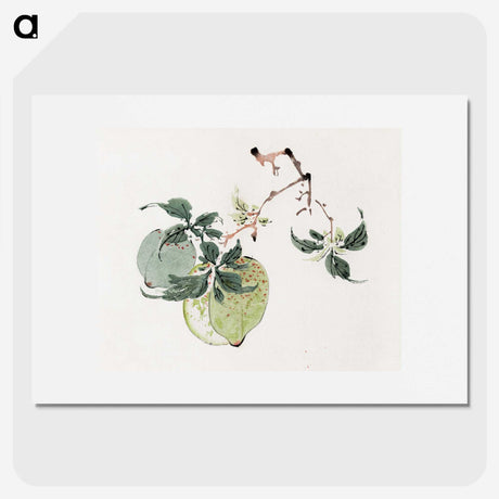 1-12_Hu-Zhengyan_picture