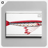 1-12_Ichtyologie-ou-Histoire-naturelle_canvas