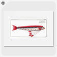 1-12_Ichtyologie-ou-Histoire-naturelle_picture